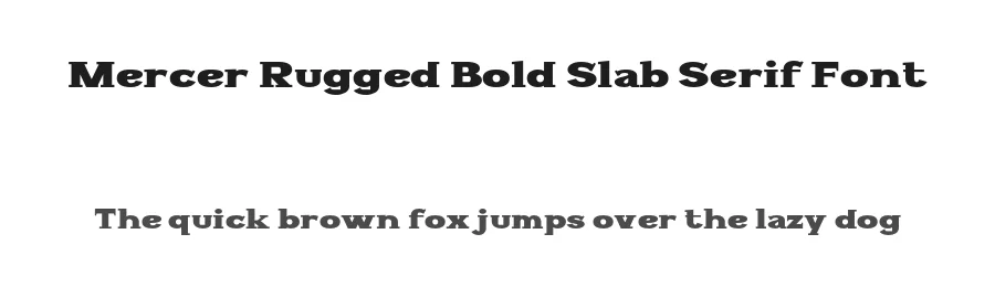 Mercer Rugged Bold Slab Serif Font by Mei Suseno — Display Font