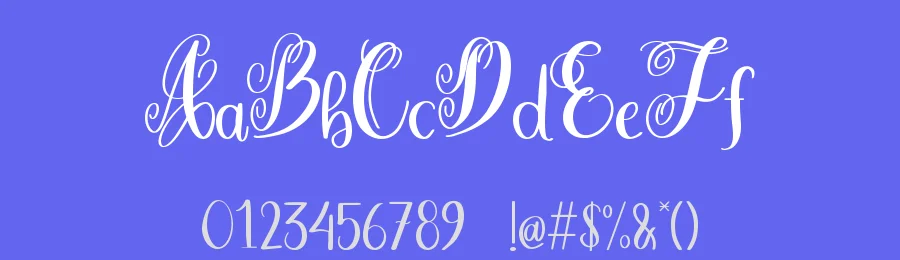 Merelya Script Font by Dm Studio — Serif Font — thumbnail 3