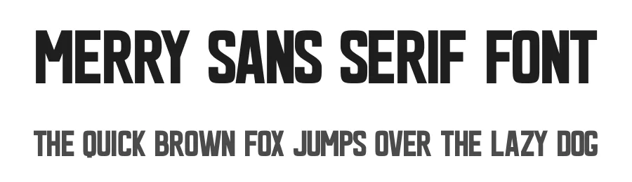 Merry Sans Serif Font by Craftedtype — Decorative Font