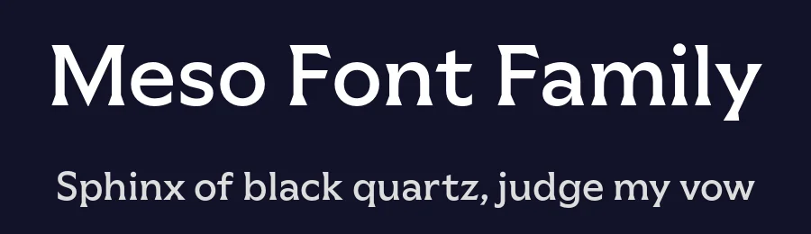 Meso Font Family by Sociotype Foundry — Serif Font — thumbnail 2