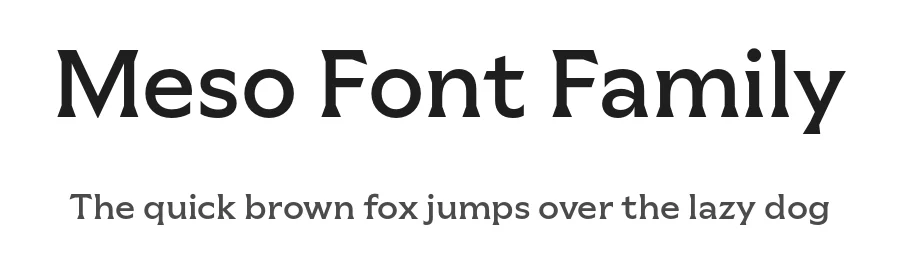 Meso Font Family by Sociotype Foundry — Serif Font