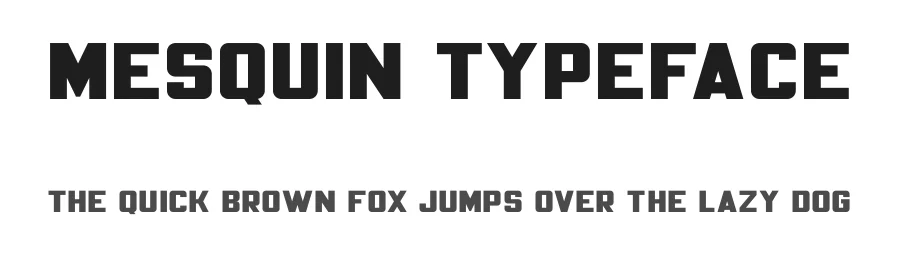 Mesquin Typeface by MuSan โ Sans Serif Font