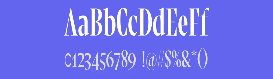 Messer Condensed Font by Inga Plönnigs — Serif Font — thumbnail 3