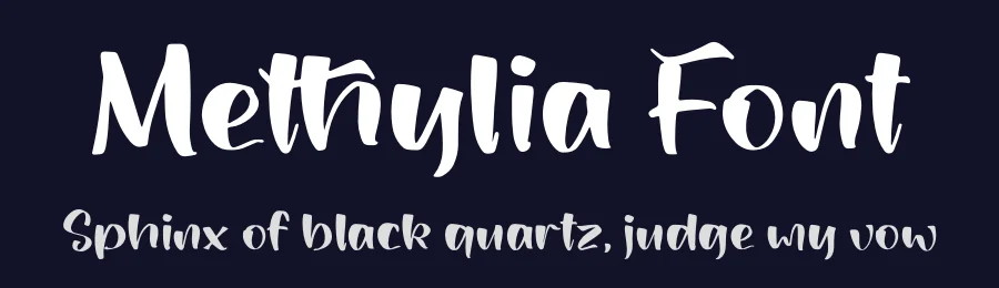 Methylia Font by letterfabric — Script Handwritten Font — thumbnail 2