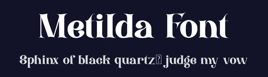 Metilda Font by RTSTD — Serif Font — thumbnail 2