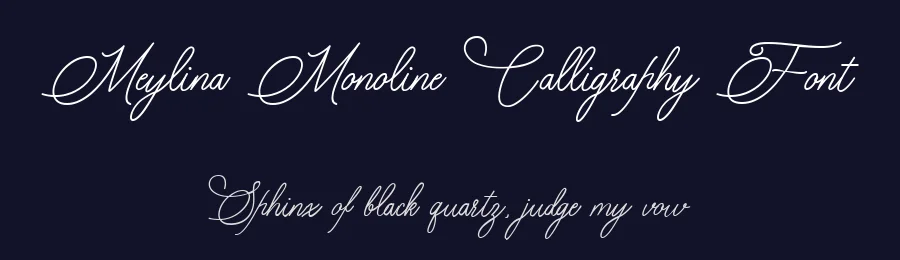 Meylina Monoline Calligraphy Font by Balevgraph Studio — Script Handwritten Font — thumbnail 2