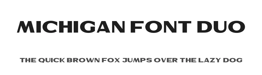 Michigan Font Duo by Letterhend Studio — Sans Serif Font