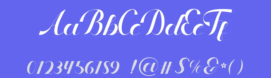 Micklona Font by Delaga Studio — Script Handwritten Font — thumbnail 3