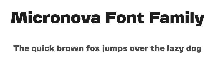 Micronova Font Family by Michael Mischler and Nik Thoenen — Sans Serif Font