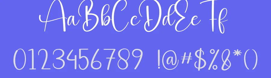 Midenight Calligraphy Font by creativeletter — Script Handwritten Font — thumbnail 3