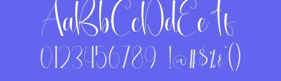 Midnight Calligraphy Font by creativeletter — Script Handwritten Font — thumbnail 3