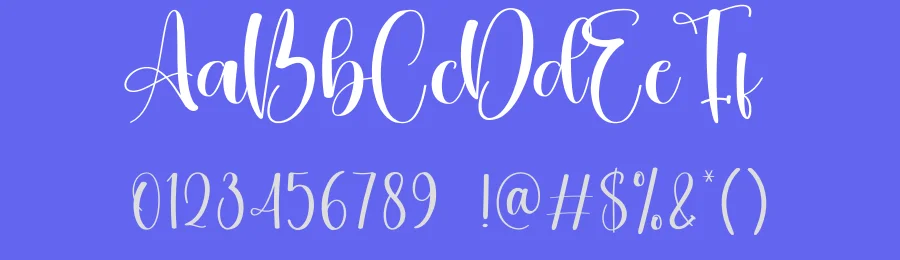 Mighty Calligraphy Script Font by creativeletter — Script Handwritten Font — thumbnail 3