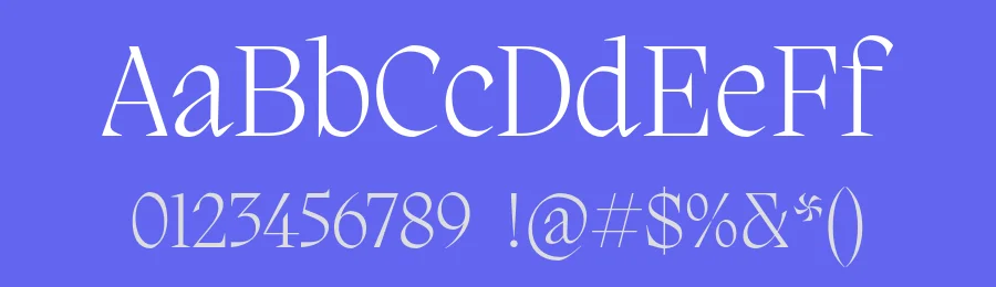 Migra Font Family by Pangram Pangram — Serif Font — thumbnail 3