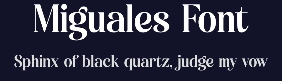 Miguales Font by letterenastudios — Serif Font — thumbnail 2