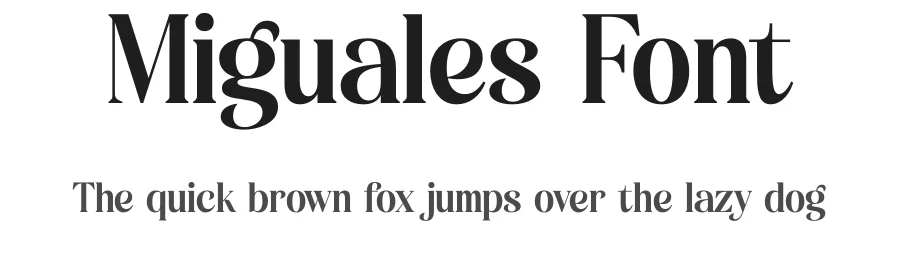 Miguales Font by letterenastudios — Serif Font