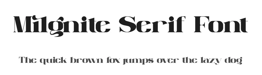 Milgnite Serif Font by Storytype — Serif Font