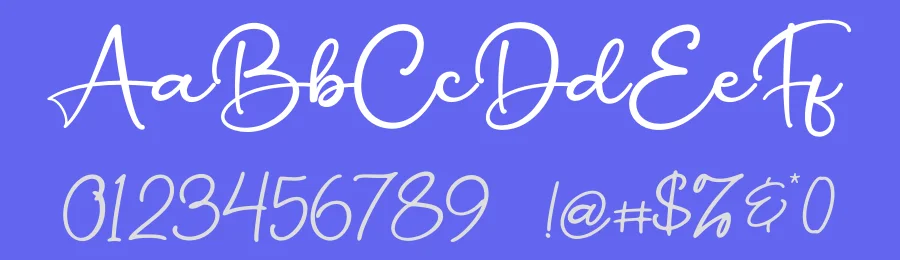 Millatira Elegant Script Font by Basnistudio — Script Handwritten Font — thumbnail 3