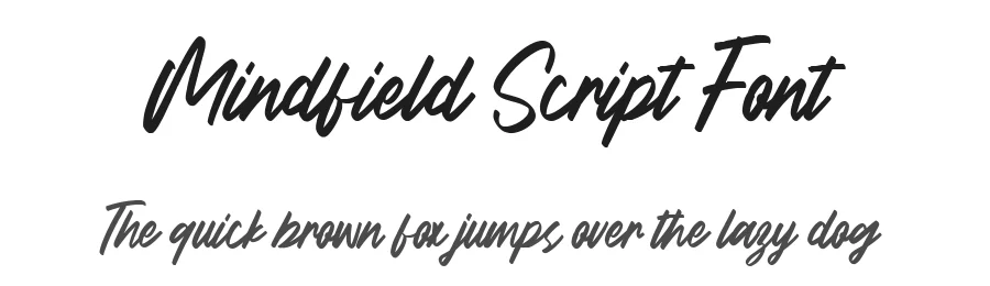 Mindfield Script Font by metafontsy — Script Handwritten Font