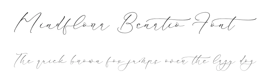 Mindflora Benatio Font by Storytype — Script Handwritten Font