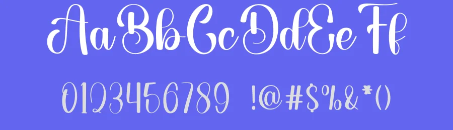 Minimalist Birthday – Luxury Handwritten Script Font by freshtypeink — Script Handwritten Font — thumbnail 3