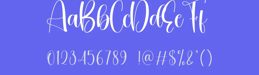 Minnesota Calligraphy Font by creativeletter — Script Handwritten Font — thumbnail 3