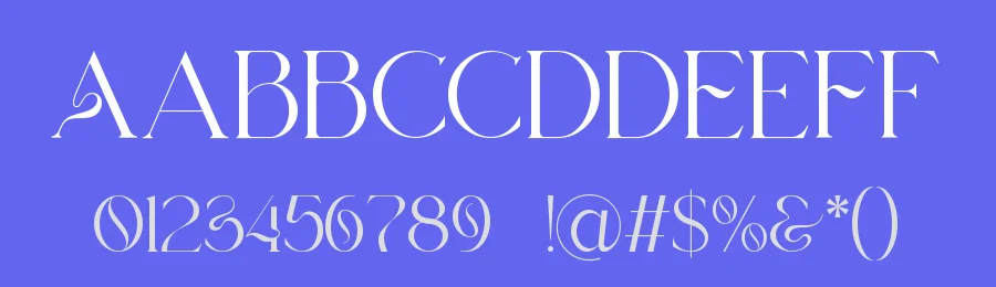 Minneth – Modern minimalist Serif Font by ErmediaStudio — Serif Font — thumbnail 3