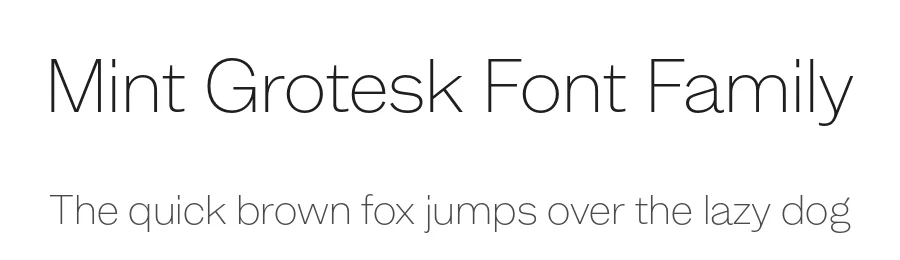 Mint Grotesk Font Family by Lift Type — Sans Serif Font