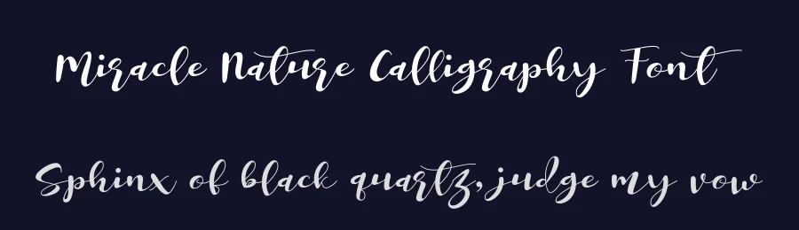 Miracle Nature Calligraphy Font by letterenastudios — Script Handwritten Font — thumbnail 2