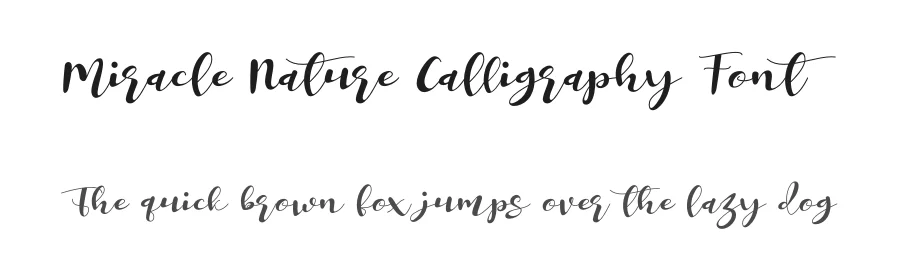 Miracle Nature Calligraphy Font by letterenastudios — Script Handwritten Font