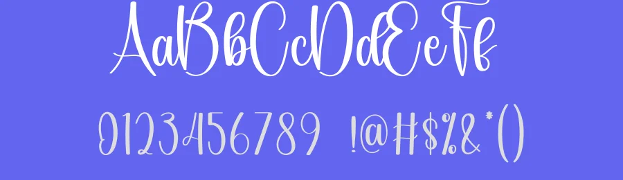 Mister Day Calligraphy Font by andikastudio — Script Handwritten Font — thumbnail 3