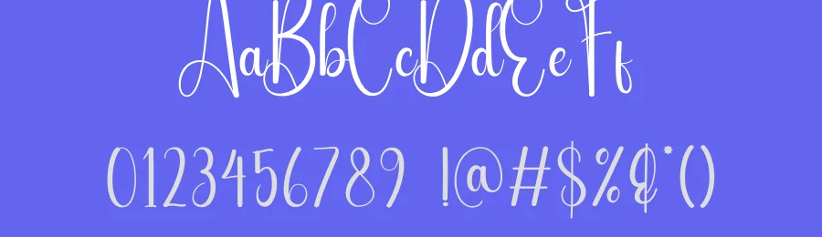 Mister Script Font by andikastudio — Script Handwritten Font — thumbnail 3