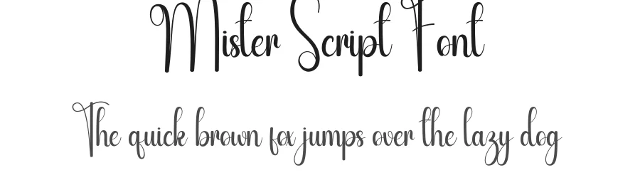 Mister Script Font by andikastudio — Script Handwritten Font