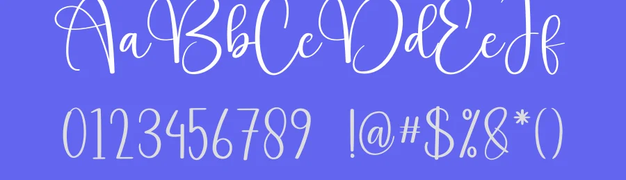 Misterday Calligraphy Font by creativeletter — Script Handwritten Font — thumbnail 3