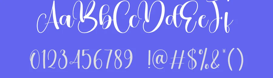 Misterday – Natural Script Handwritten Font by creativeletter — Script Handwritten Font — thumbnail 3
