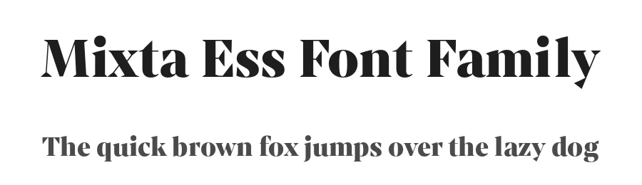 Mixta Ess Font Family by Latinotype — Serif Font