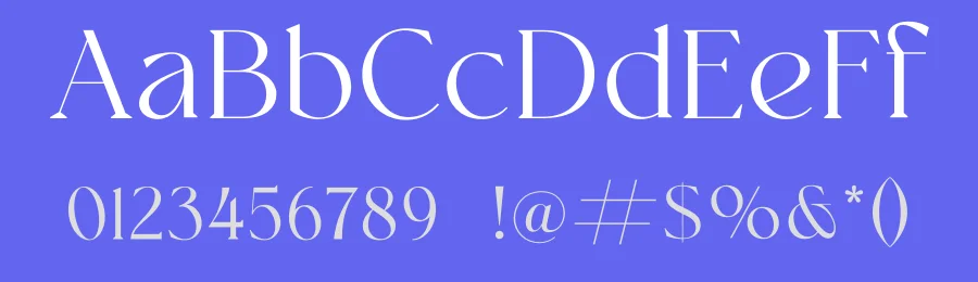 Mochain Font by Artnivora Studio — Serif Font — thumbnail 3