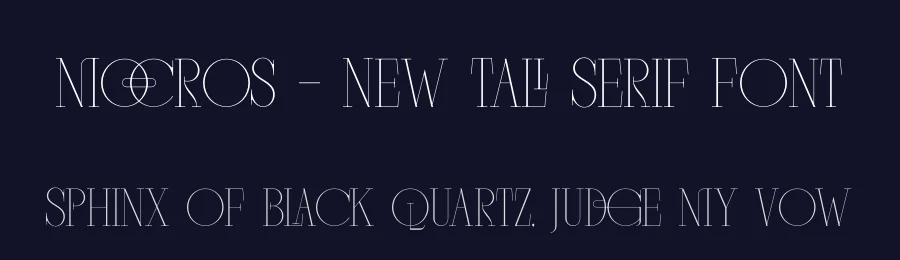 Mocros – New Tall Serif Font by timelesstype.co — Display Font — thumbnail 2