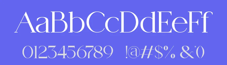 Modegi || Elegant Classy Serif Font by ErmediaStudio — Display Font — thumbnail 3
