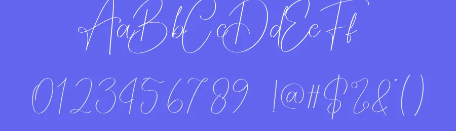 Modest Signature Font by creativeletter — Script Handwritten Font — thumbnail 3