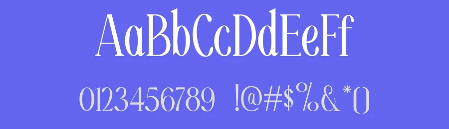 Moelina Font by Marvadesign — Serif Font — thumbnail 3