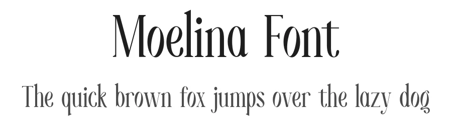 Moelina Font by Marvadesign — Serif Font