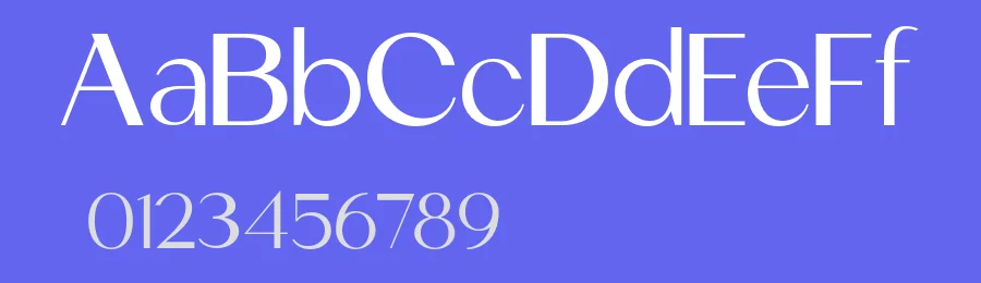 Mogace – Elegant Sans-Serif Font by roomspace.cl — Serif Font — thumbnail 3