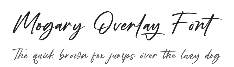 Mogary Overlay Font by stylishtype.co — Script Handwritten Font