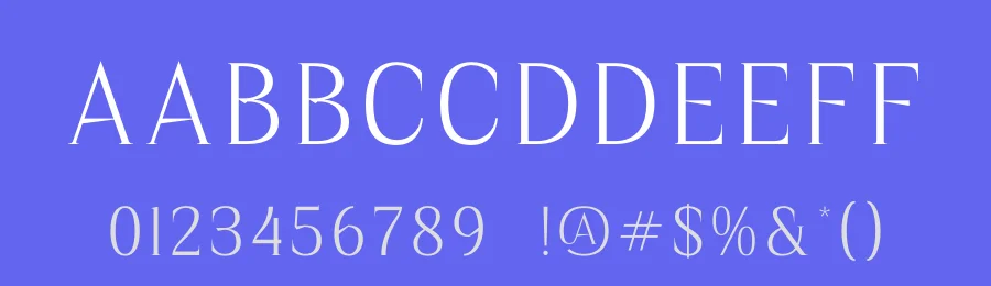 Moghes Font by Storytype — Serif Font — thumbnail 3