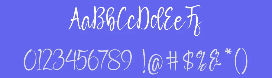 Mogilla Script Font by Black Studio — Script Handwritten Font — thumbnail 3