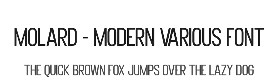 Molard – Modern Various Font by PutraCetol Studio — Sans Serif Font