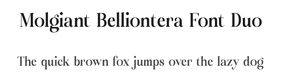 Molgiant Belliontera Font Duo by Storytype — Script Handwritten Font