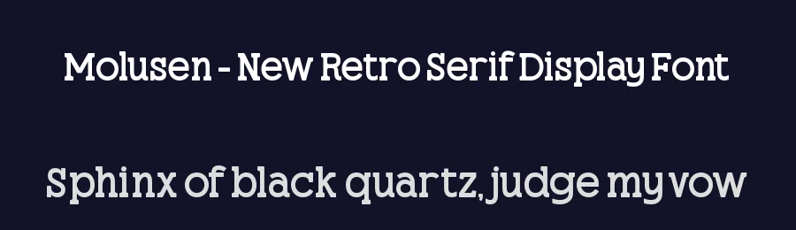 Molusen – New Retro Serif Display Font by timelesstype.co — Display Font — thumbnail 2