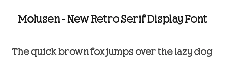 Molusen – New Retro Serif Display Font by timelesstype.co — Display Font