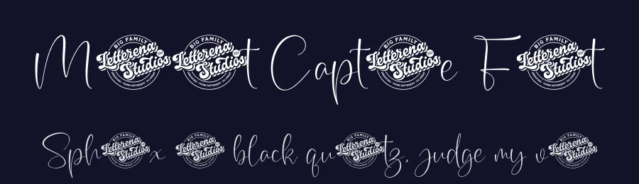 Moment Capture Font by letterenastudios — Script Handwritten Font — thumbnail 2